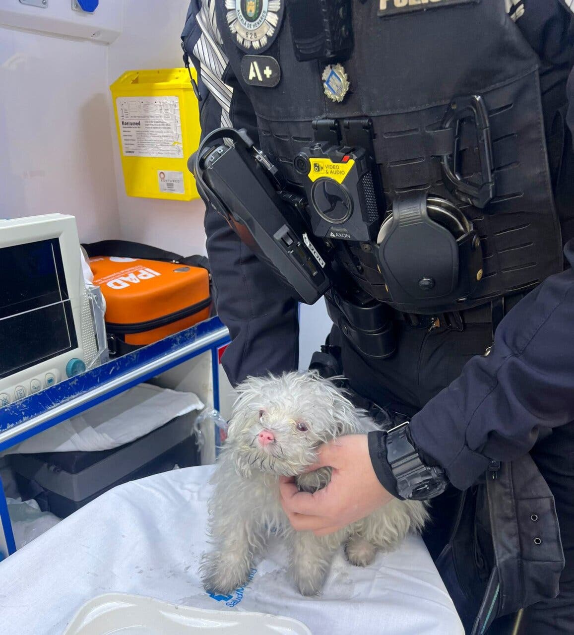 Cachorro rescatado por la policía tras un incendio en Alcalá de Henares