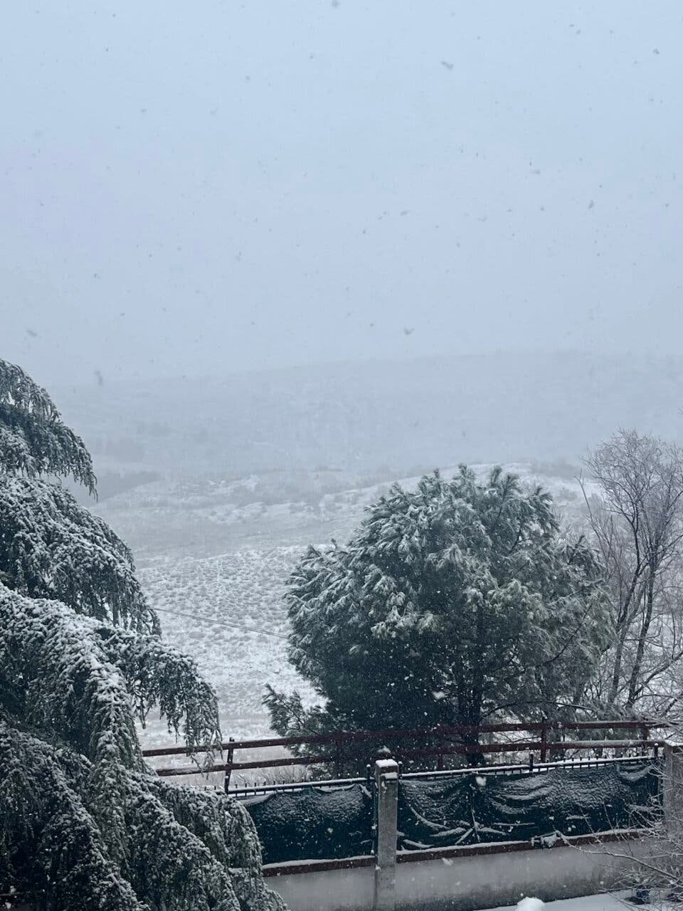 Vista de una nevada en Villalbilla con árboles cubiertos de nieve