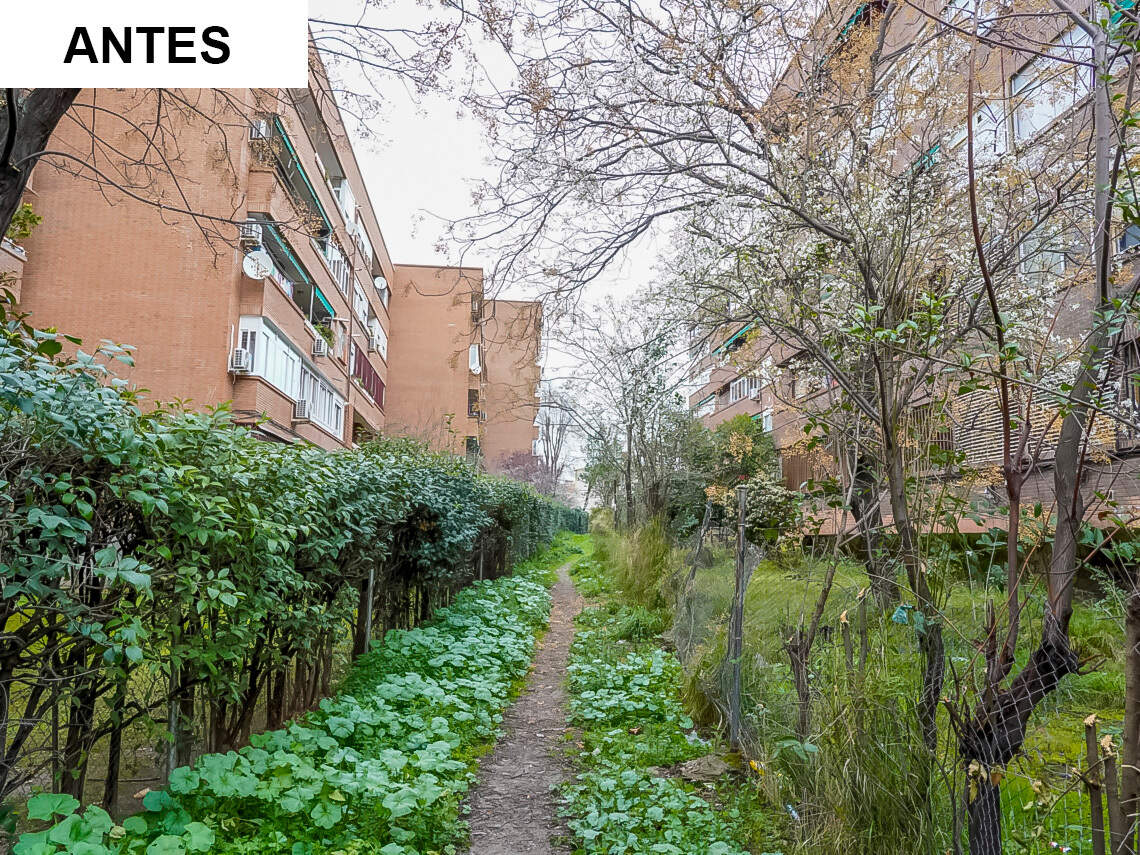 Ayto Torrejon, Pasillo Emergencia 250303JDS0030 Web ANTES