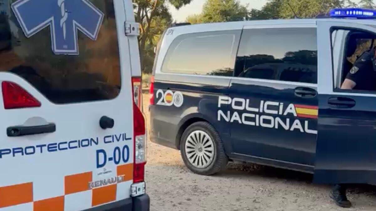 AYTO. DE ALCALÁ