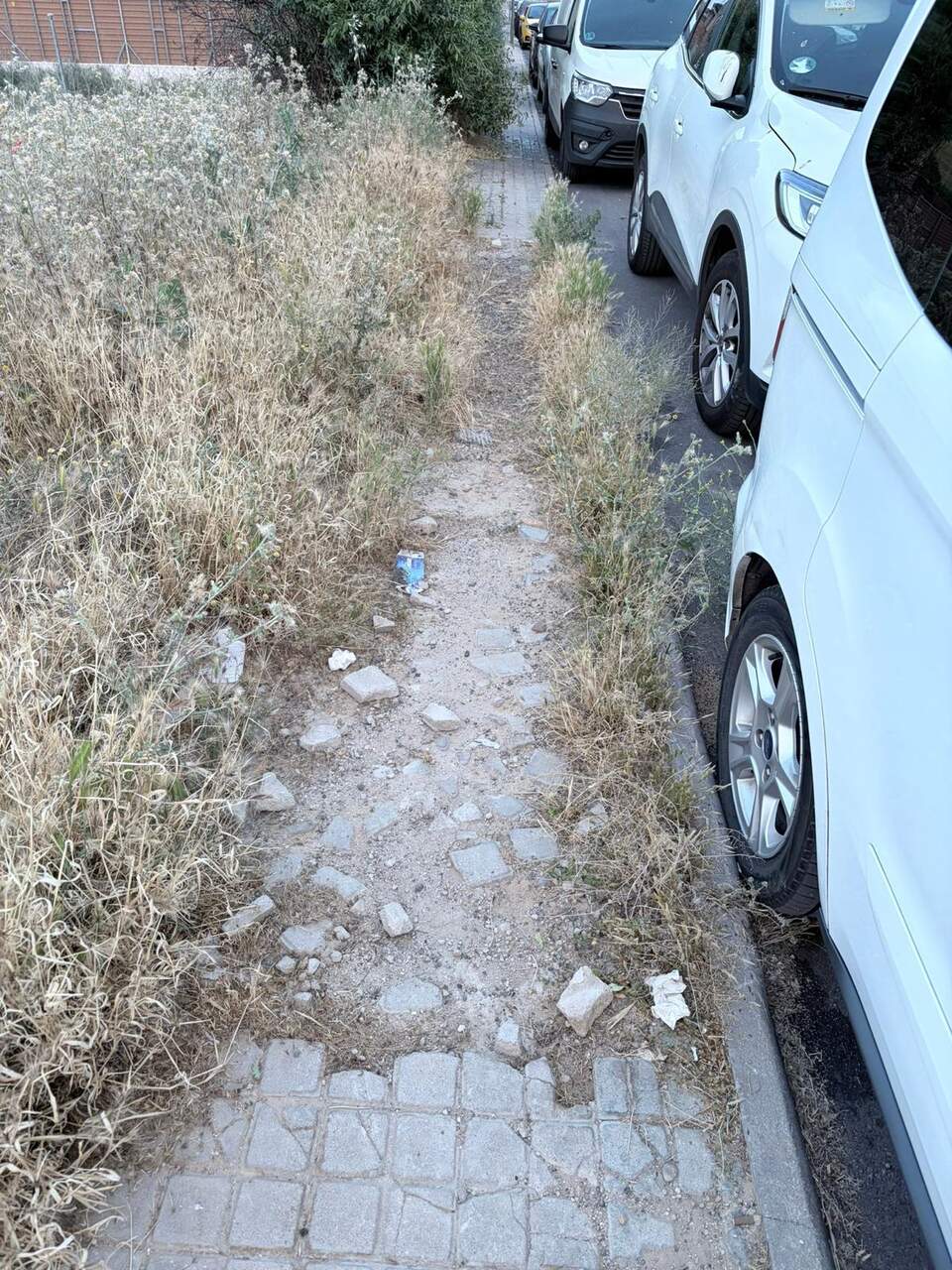 Acera invadida por vegetación y con desperfectos en la zona. VOX