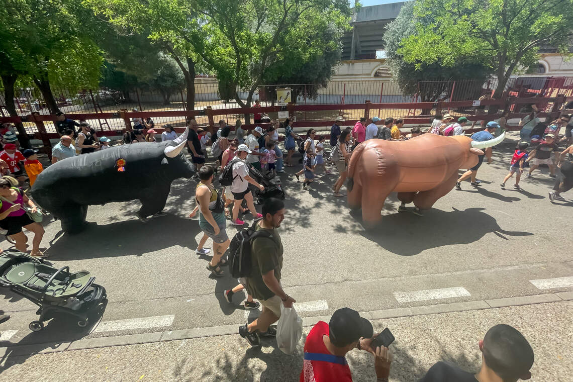 Encierro infantil. AYTO. DE TORREIÓN