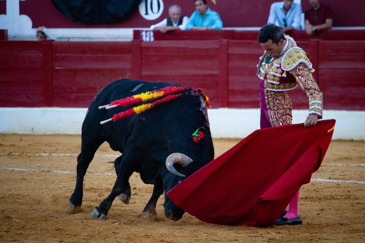 David de Miranda durante la faena que le abrió la puerta grande en Torrejón. JUAN CARLOS BEJARANO / MiraCorredor