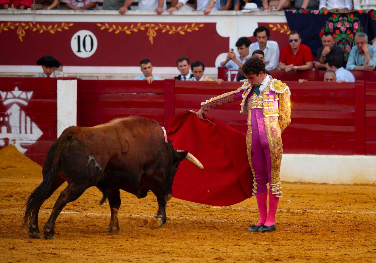 Talavante en Torrejón. JUAN CARLOS BEJARANO / MiraCorredor