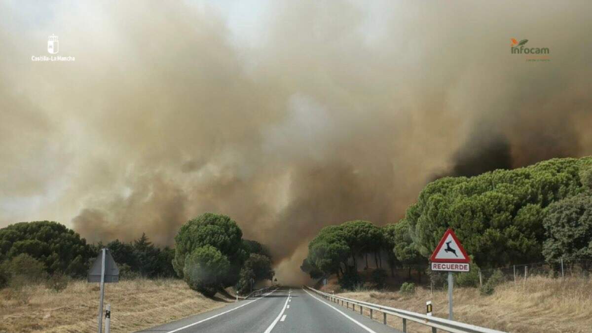 Imagen del incendio forestal declarado en Almorox (Toledo). INFOCAM