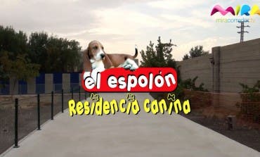 Tu perro como en casa 