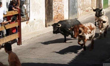 El jueves comienzan las Fiestas de Daganzo 