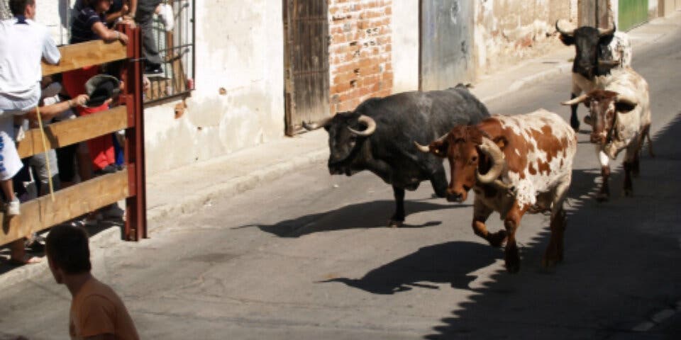 El jueves comienzan las Fiestas de Daganzo