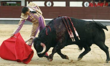 Somos Alcalá (Podemos) rechaza la corrida de toros cervantina
