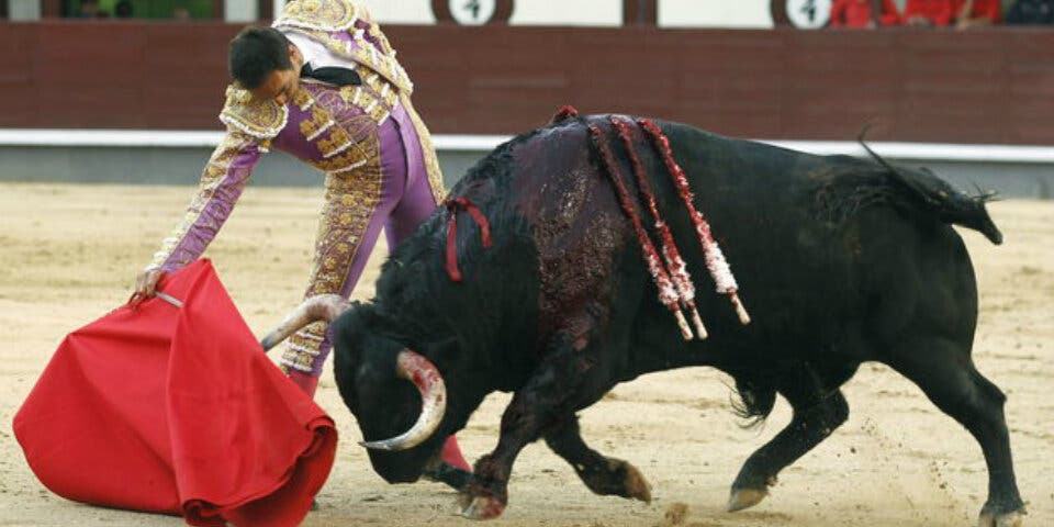 Somos Alcalá (Podemos) rechaza la corrida de toros cervantina