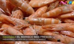 Video- Marisco, carne, pescado... ¿Cómo están los precios para Nochevieja?