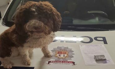 Detenido en Torrejón con 100 gramos de hachís gracias a este perro policía 