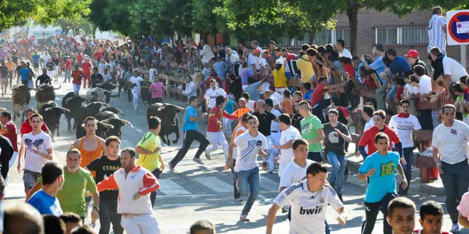 Torrejón aprueba mantener los circos con animales, los toros y los encierros