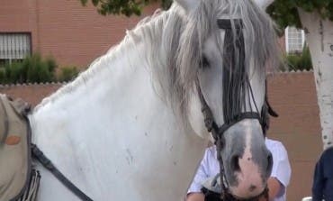 Alcalá acoge en abril la II Feria Amigos del Caballo