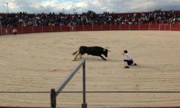 El PP de Coslada acusa al alcalde de querer prohibir los toros