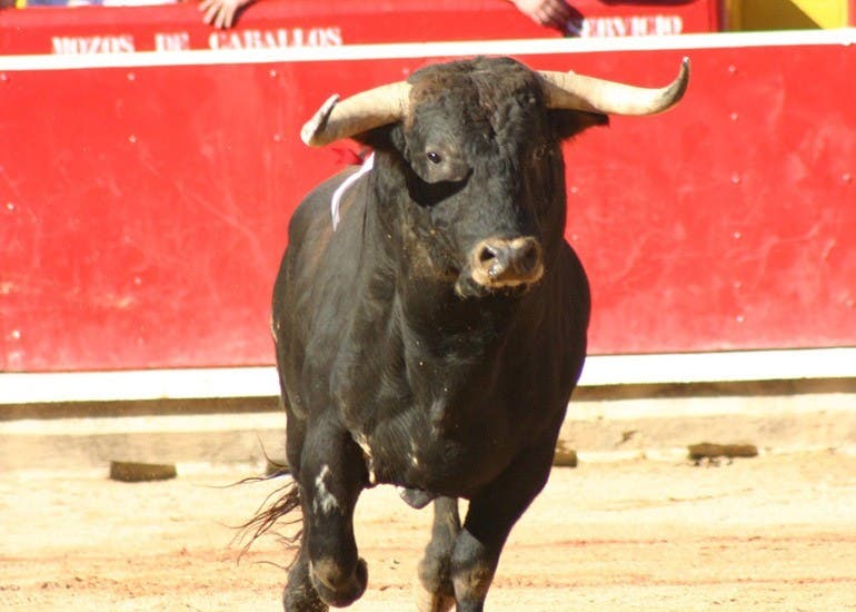 Piden un referéndum en Alcalá sobre los toros y los circos con animales