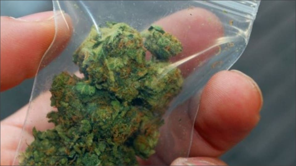 Detenidos en Paracuellos con 2,3 kilos de marihuana para vender