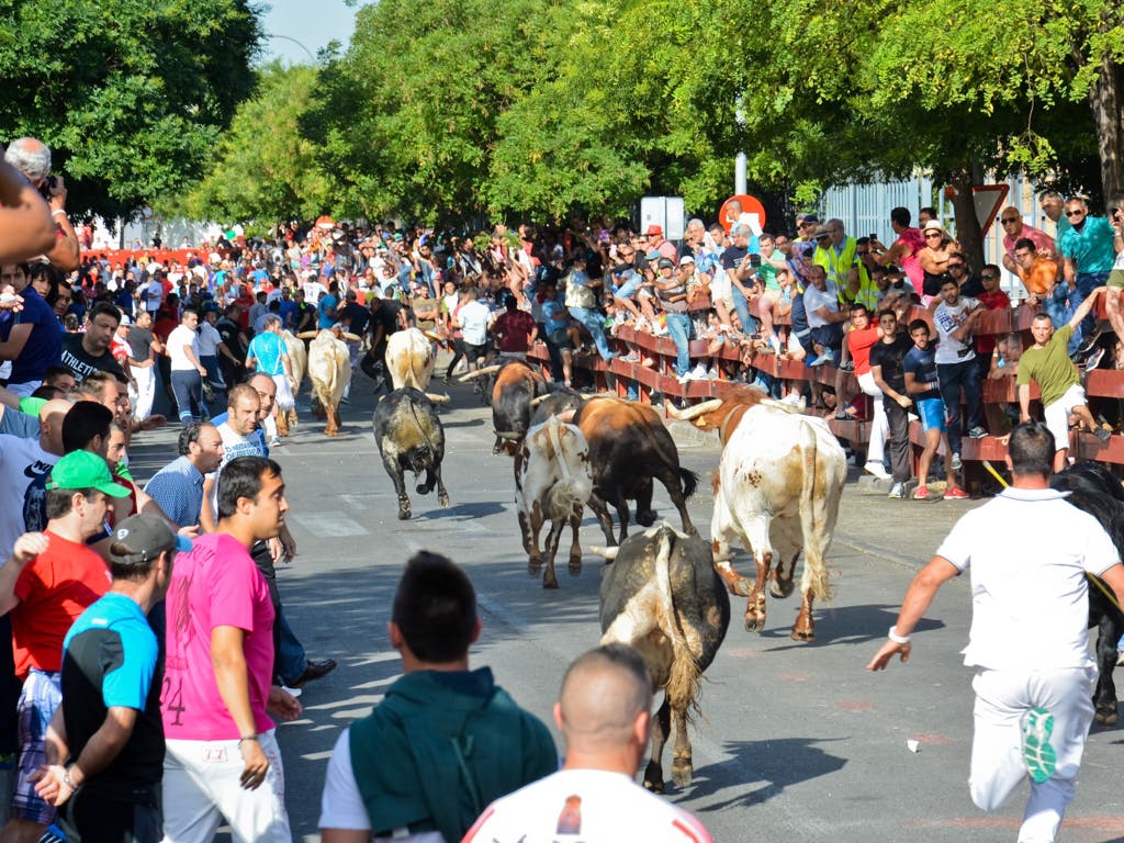 Torrejón celebrará por primera vez un encierro nocturno