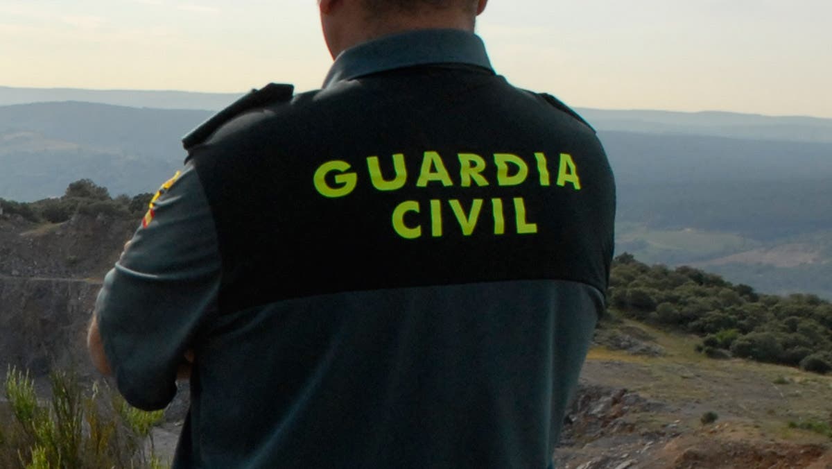 Detenido en Coslada por robos cometidos en fincas de un pueblo de Ávila