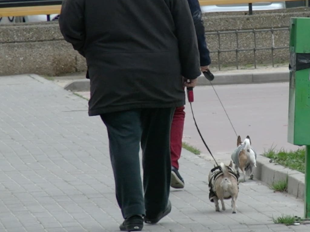 Torrejón de Ardoz incrementa la sanción por no recoger los excrementos caninos 