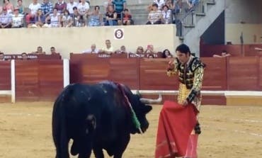 Habrá toros, encierros y recortes en las Ferias de Alcalá