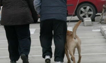 Policías de paisano para pillar in fraganti a quienes no recojan las cacas de su perro en Torres de la Alameda