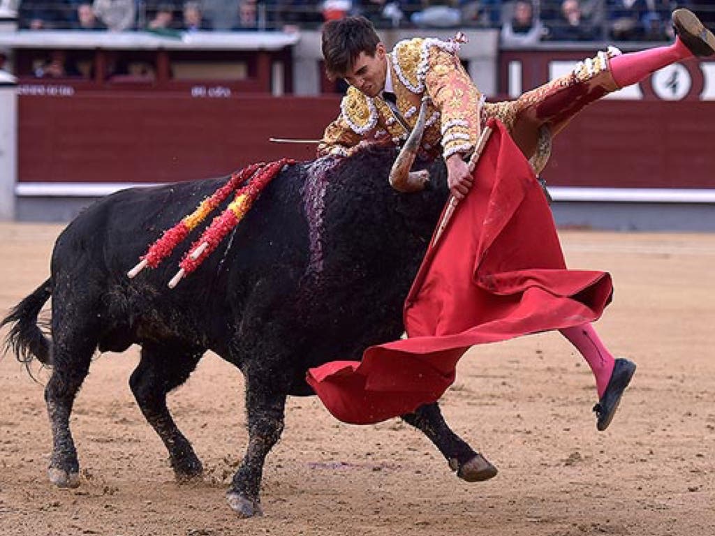 Gonzalo Caballero reaparece el domingo en Torrejón tras la grave cornada que sufrió en San Isidro