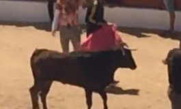 Primer encierro de las Fiestas de Torrejón sin incidentes graves