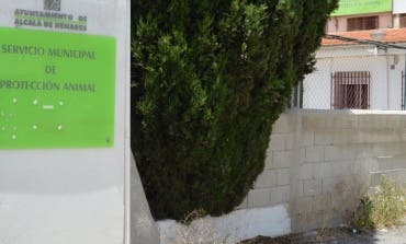 El Ayuntamiento de Alcalá concluye ahora que no hubo maltrato en la perrera