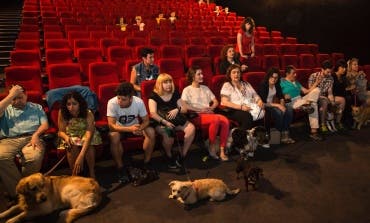 Una empresa de Guadalajara quiere que los perros puedan ir al cine con sus dueños