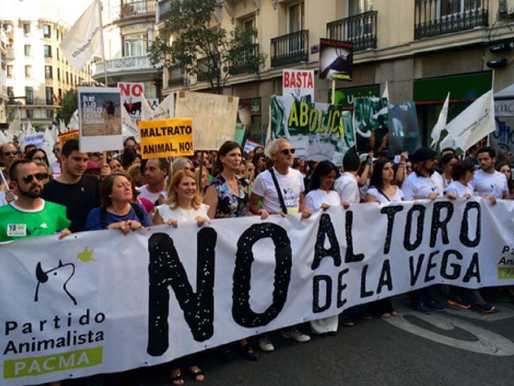 El PACMA sigue creciendo y se sitúa como quinta fuerza en Alcalá, Torrejón, Coslada y San Fernando