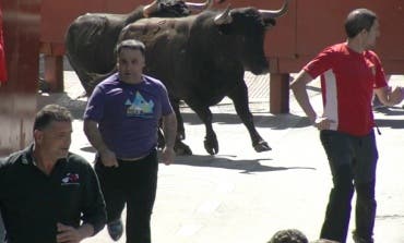 Las mejores imágenes de los encierros de las Fiestas de Torrejón