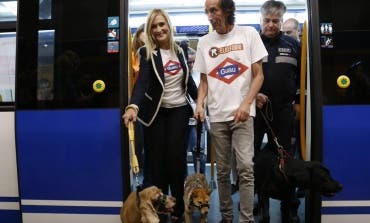 Desde este miércoles los perros podrán viajar en el Metro de Madrid