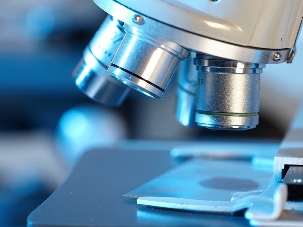 La Universidad de Alcalá colabora en el desarrollo de prótesis moleculares para restaurar la visión