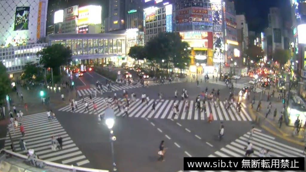 Famoso cruce Shibuya de Tokio (Sib.tv).