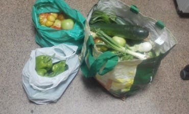 Sorprendidos en Velilla con bolsas llenas de hortalizas que habían robado en un huerto
