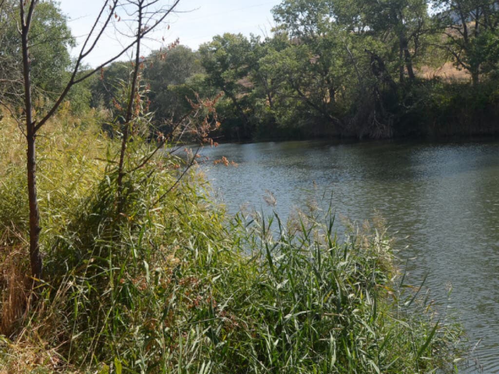 Encuentran en el río Henares el cadáver de una mujer desaparecida en Alcalá
