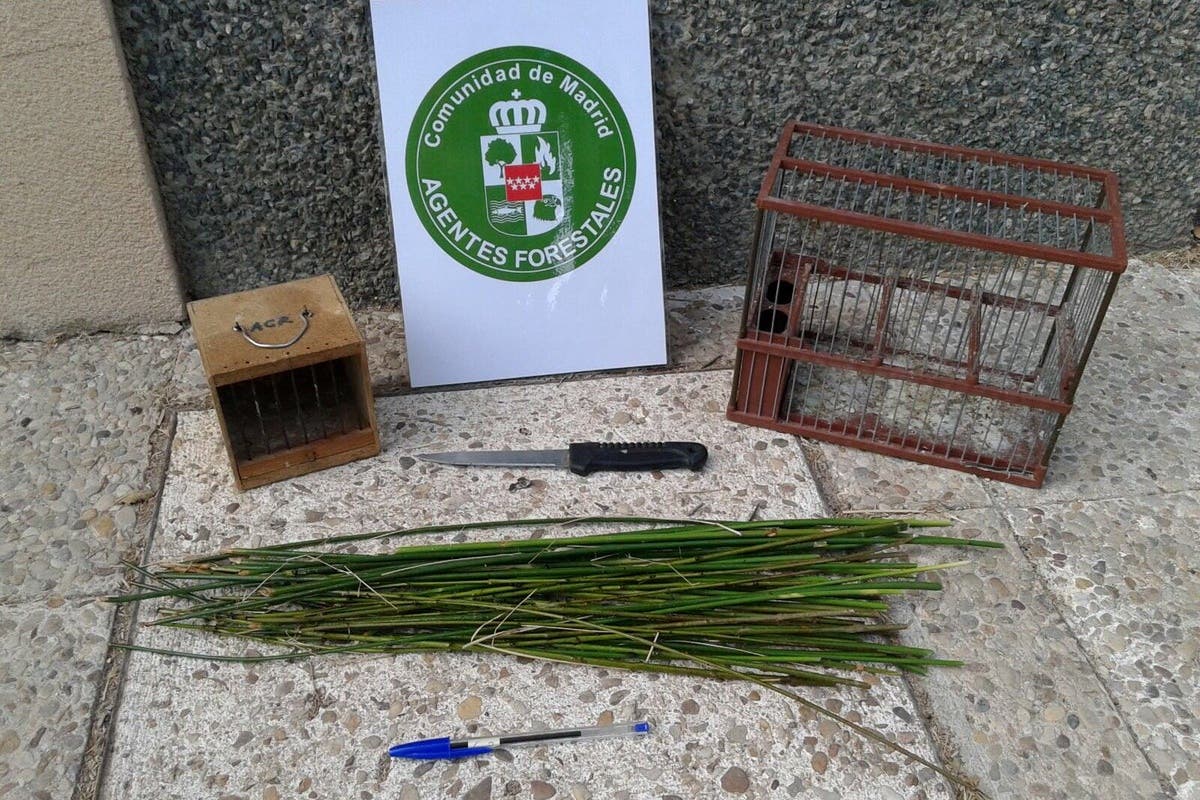 Cazaba pájaros con varetas impregnadas de pegamento, en Alcala de Henares