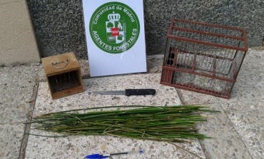 Cazaba pájaros con varetas impregnadas de pegamento, en Alcala de Henares