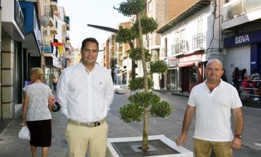 La calle Enmedio de Torrejón estrena jardineras