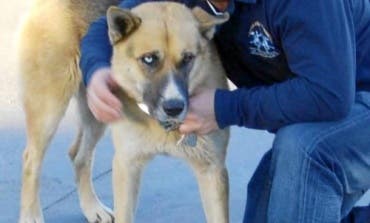 En libertad tras pagar 5.000 euros el policía de Coslada acusado de abusar de una menor