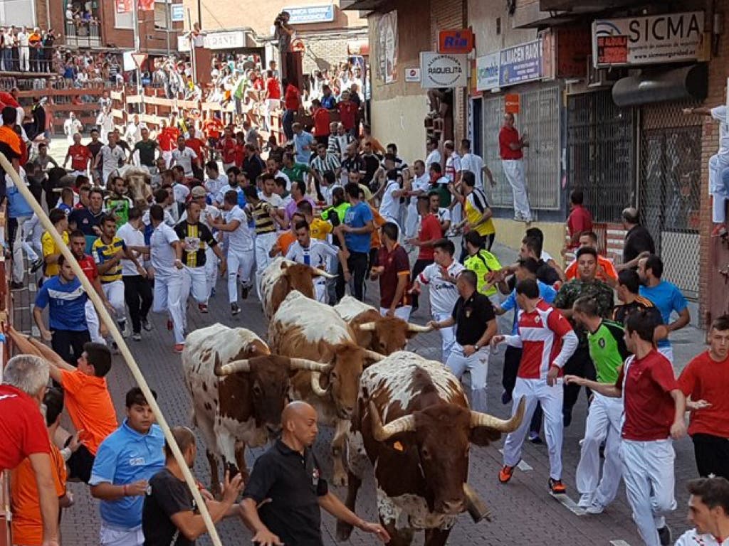 Primer herido por asta de toro en los encierros de San Sebastián de los Reyes