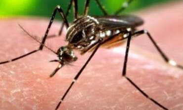 Primer caso autóctono de transmisión de Zika por vía sexual en Madrid