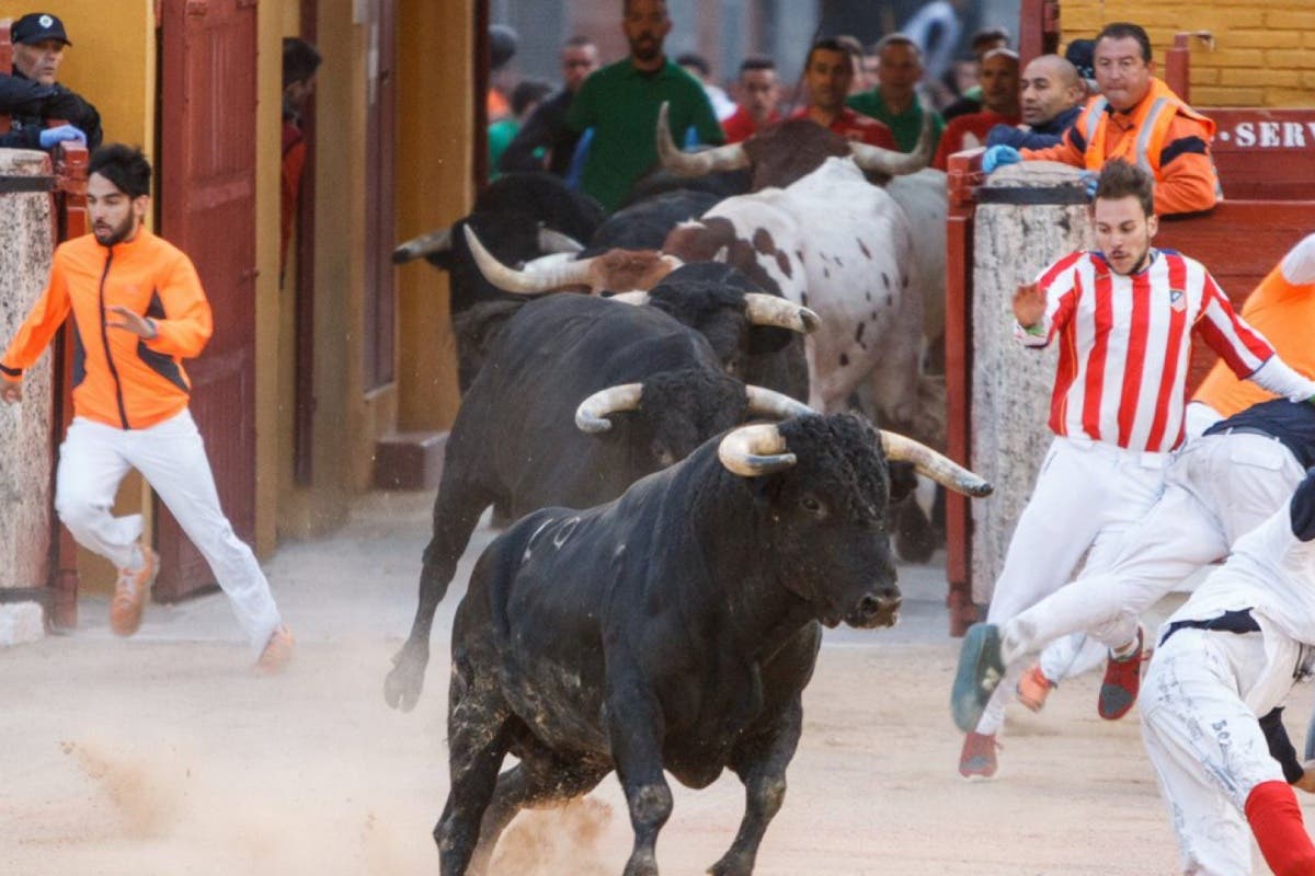 Seis heridos en el último encierro de las Fiestas de Guadalajara