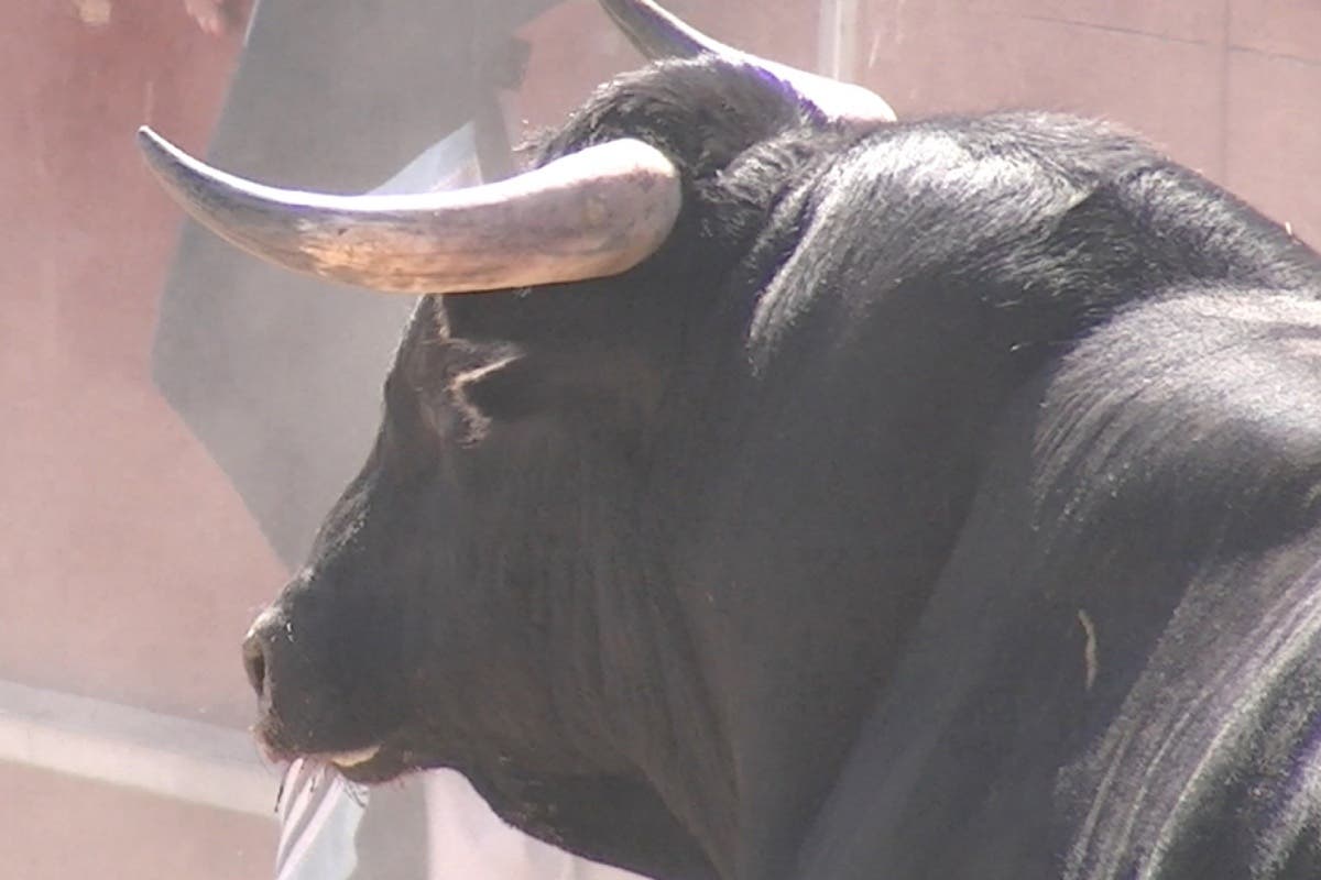 Los festejos taurinos populares crecen un 33% en la Comunidad de Madrid