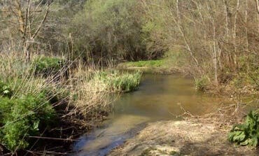 La autopsia confirma la muerte violenta del cuerpo hallado en el río Guadarrama