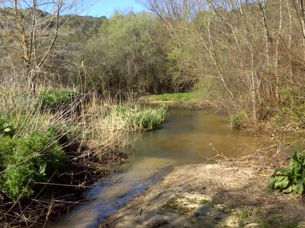 La autopsia confirma la muerte violenta del cuerpo hallado en el río Guadarrama