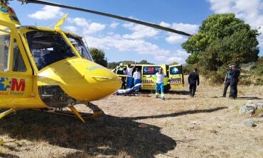 Grave una mujer de 88 años tras ser atacada por un rottweiller