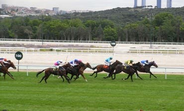 Dos jinetes graves tras chocar en el Hipódromo de La Zarzuela