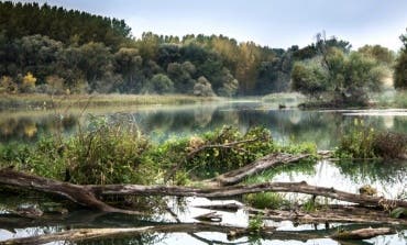El río Henares, elegido para un programa europeo de reducción de residuos